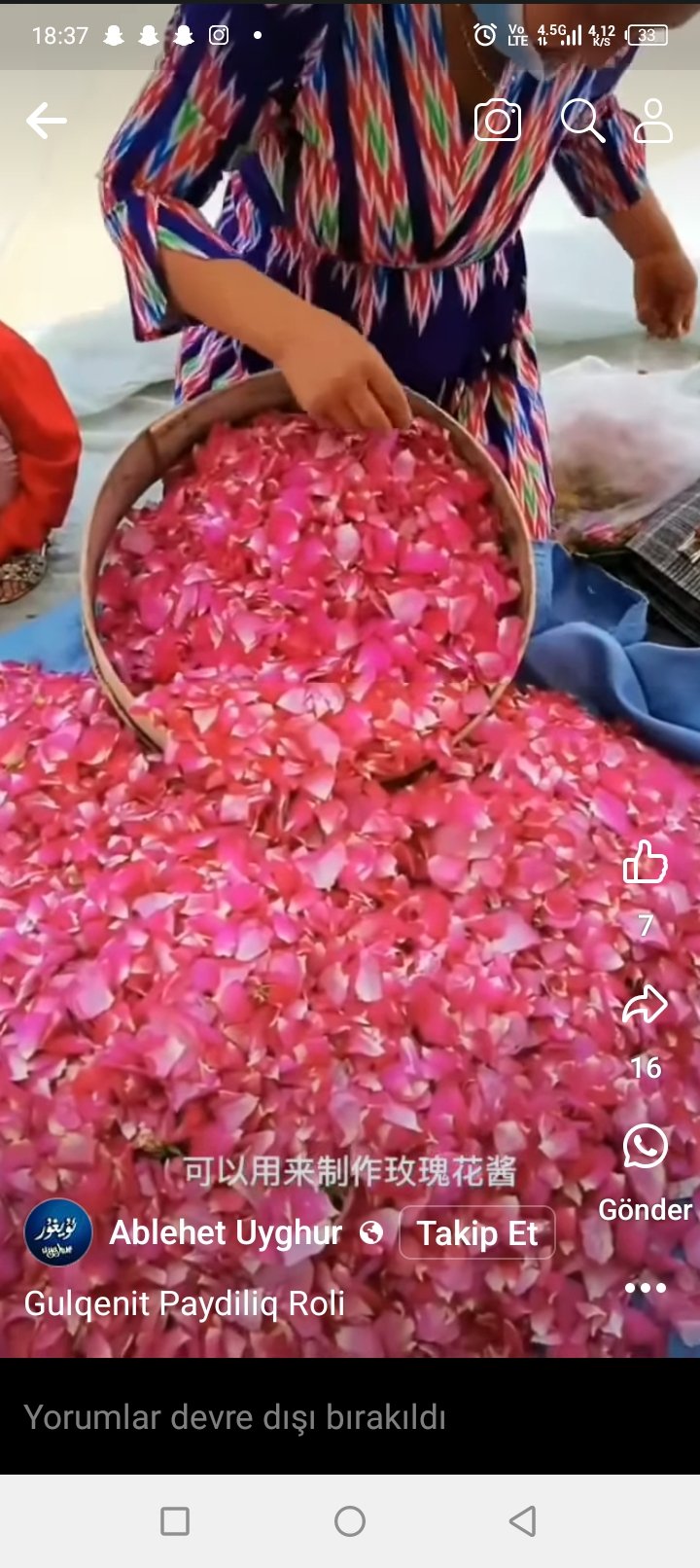 گۈل يېغى 