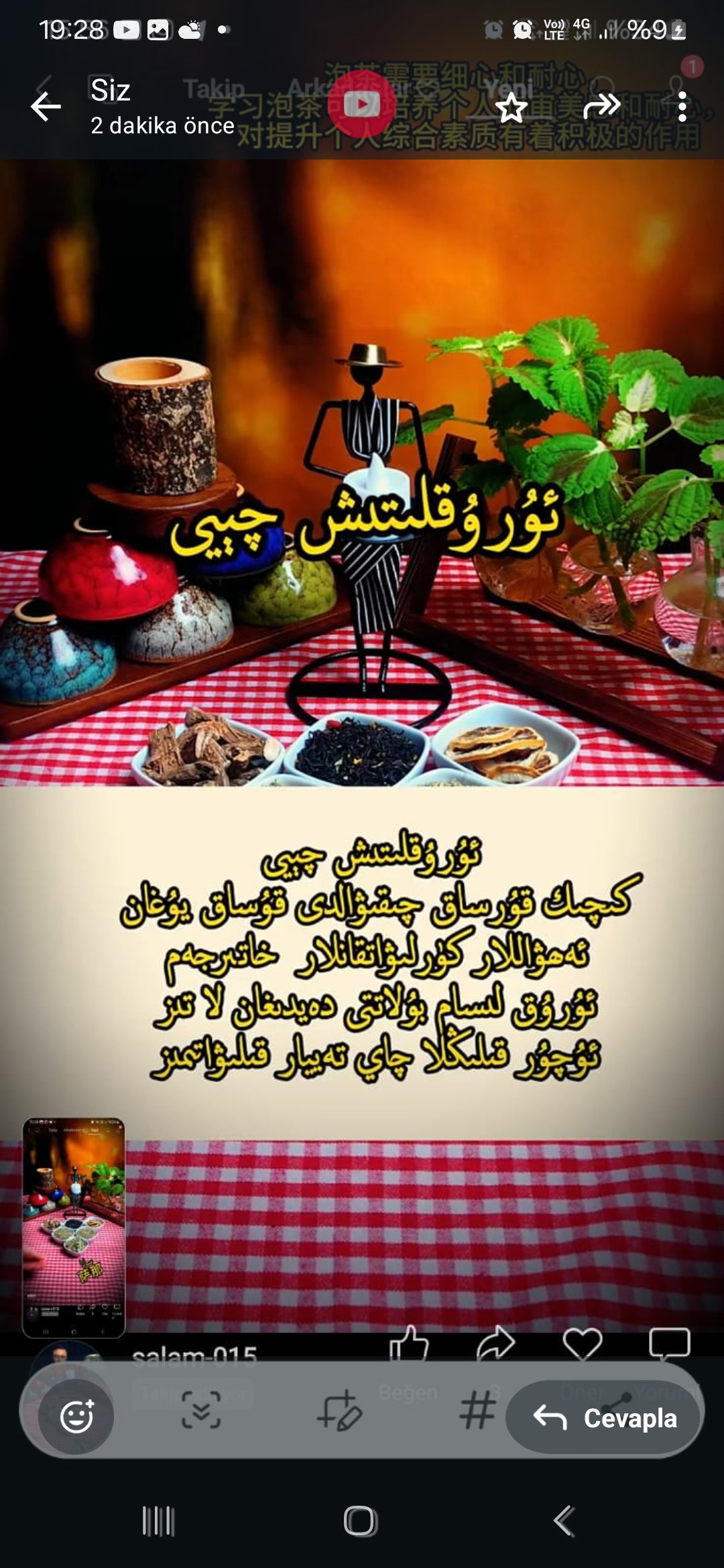 ئۇرۇقلۇتۇش چېيى 